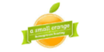 a-small-orange