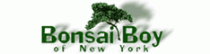 bonsai-boy-of-new-york