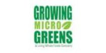 growing-micro-greens