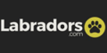 labradorscom Promo Codes