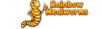 rainbow-mealworms